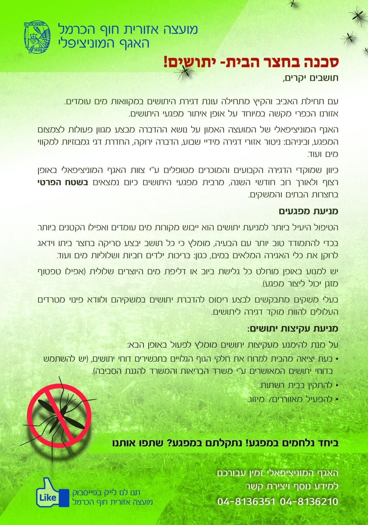 יתושים